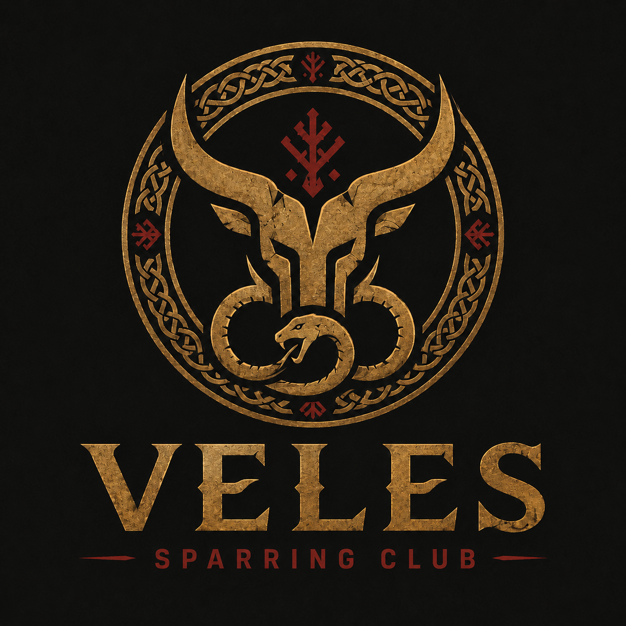 VELES Sparring Club